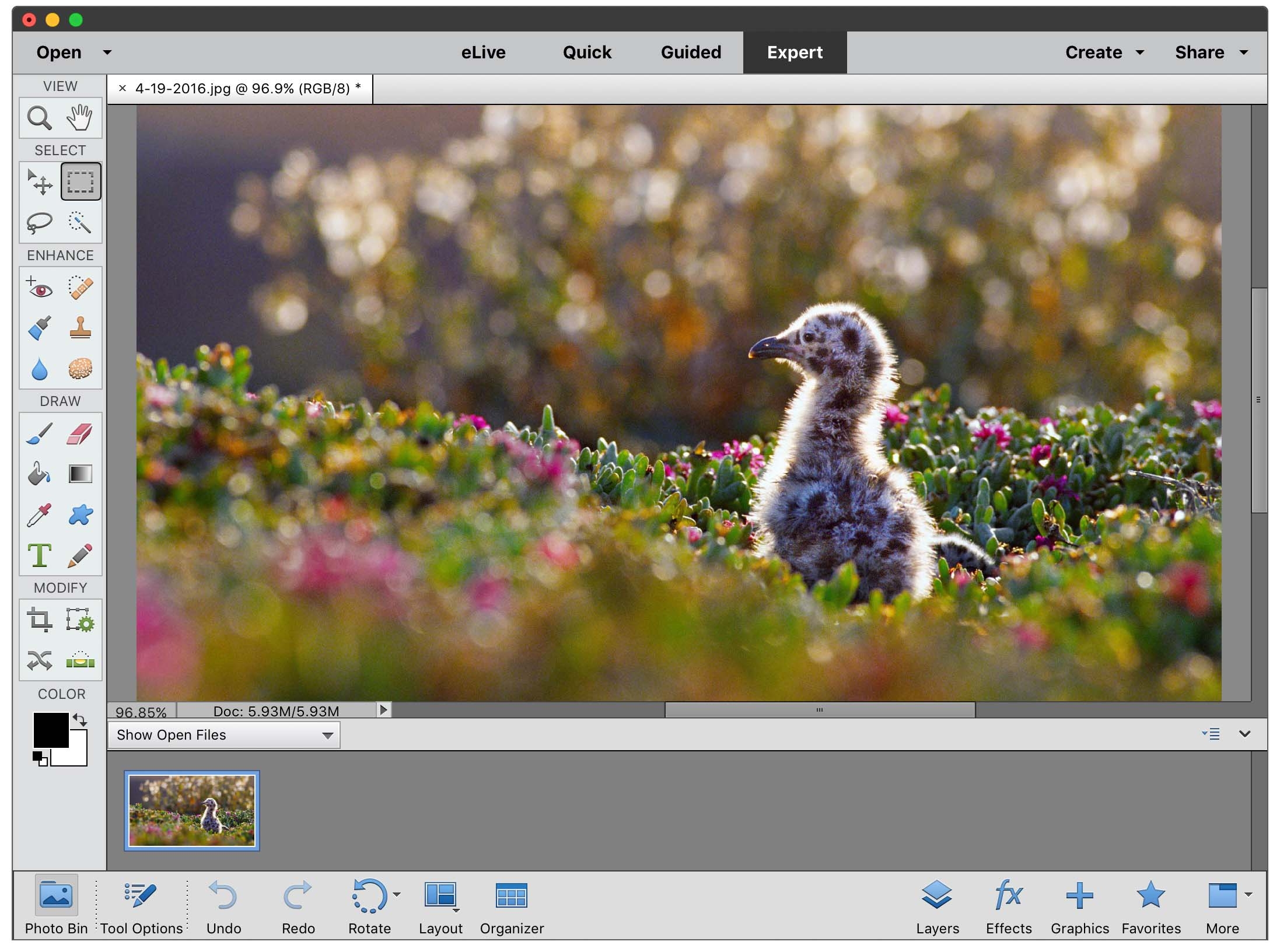 photo editing software for mac free like photoshop
